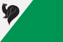 Flag of Megion