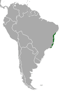Maned Sloth area.png