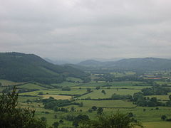 Combe Moor and Byton Moor - geograph.org.uk - 71529.jpg