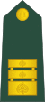 16-Slovenian Army-LTC.svg