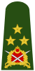 Turkey-army-OF-8.svg