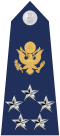 US Air Force O11 shoulderboard with seal.svg
