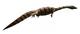 Hyphalosaurus mmartyniuk wiki flipped.png