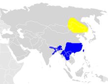 Aythya baeri map BirdLife.png