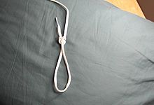 TridentLoop06.jpg