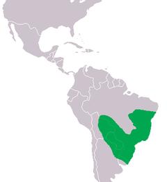 Caiman latirostis Distribution.png
