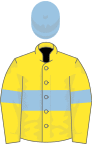 Yellow, light blue hoop, armlets and cap