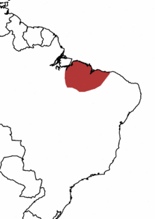 Buff-browed Chachalaca.png