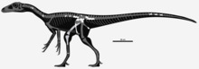 Restoration