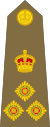 Brigadier