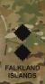 Lieutenant