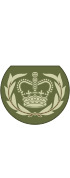 British Army OR-8b.svg