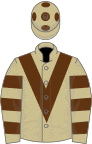 Beige, brown chevron, hooped sleeves and spots on cap