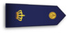 Dutch Police Rank Inspecteur.png