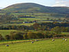 Pastoral view, Hutton - geograph.org.uk - 1039893.jpg