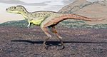 Raptorex NT.jpg