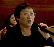 李银河于2011年度性与性别事件评点三方会谈 (cropped).jpg