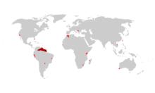 GuppyMAPA.gif