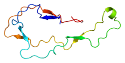 Protein CALR PDB 1hhn.png