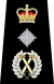 Commissioner Epaulette.svg