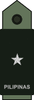 Brigadier General