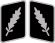 SS-Standartenführer Collar Rank.svg