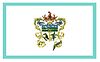 Flag of Leoncio Prado