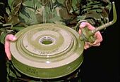 TM-57 held with tilt fuze.jpg