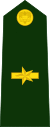 Colombia-Army-OF-3.svg