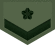 JGSDF Private insignia (miniature).svg