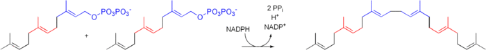 Cholesterol-Synthesis-Reaction10.png