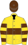 Yellow, brown hoop, hooped sleeves, brown cap