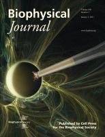 Biophysical Journal.gif