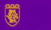 Flag of Veliko Tarnovo