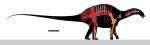 Dicraeosaurus sattleri Skeletal.svg