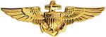 Naval Aviator Badge.jpg
