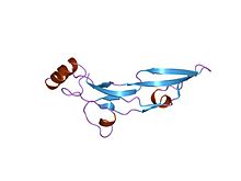 PDB 1tfg EBI.jpg