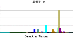 PBB GE IGF1 209541 at.png