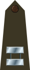 US Army O3 (Army greens).svg