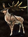 Giant deer