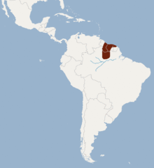 Distribution of Lophostoma schulzi.png