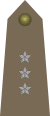 Army-POL-OF-01a.svg