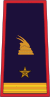 Gradë ceremoniali, Drejtues (Policia e Shtetit).svg