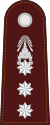 RTP OF-5 (Police Colonel).svg
