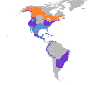 Accipiter striatus map.svg