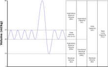 Lungvolumes Updated.png