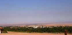 Desert landscape with a broad band of green trees in the foreground, and inmediately behind the trees the town of Pica. Behind the town a large barren plain is seen and farthest parts a series of large but gently.sloping mountains.