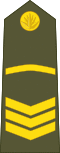OR-5 insignia