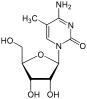 Chemical structure of 5-methylcytidine