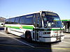 GGT NovaBus RTS 40.jpg